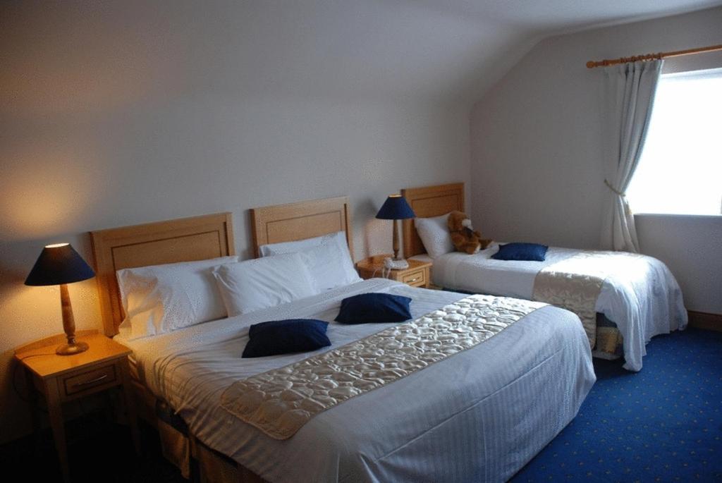 Virginia'S Guesthouse Kenmare Eksteriør bilde